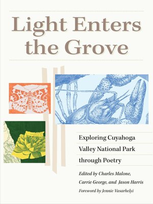 cover image of Light Enters the Grove